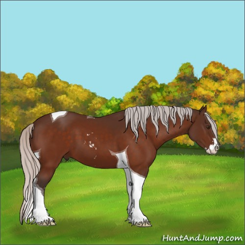 Horse Color:Silver Brown Sabino Tobiano 
