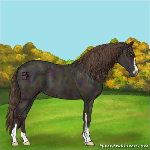 Horse Color:Midnight Classic Champagne Ice Sabino