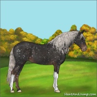 Horse Color:Liver Chestnut Mushroom Snowflake Varnish
