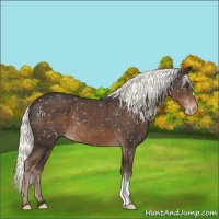 Horse Color:Liver Chestnut Mushroom Snowflake Varnish