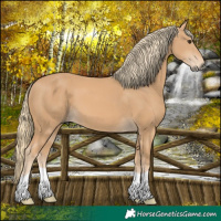 Horse Color:Chestnut Mushroom 