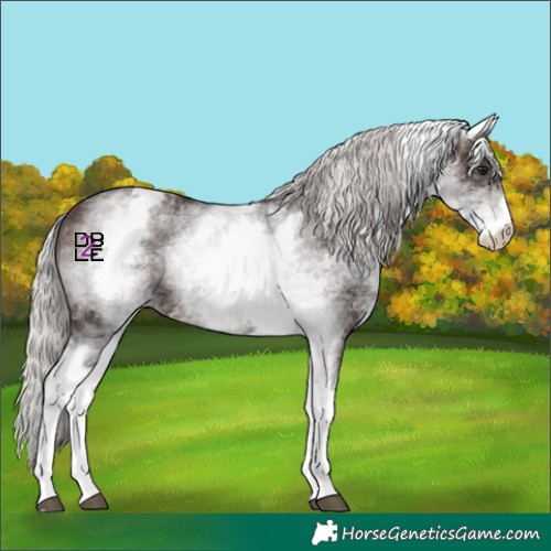 Horse Color:White Spotted Silver Brown Mushroom 