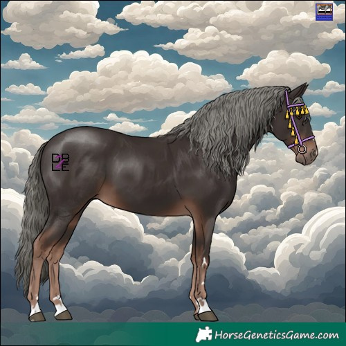 Horse Color:Liver Chestnut Mushroom 