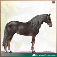 Horse Color:Liver Chestnut Mushroom 