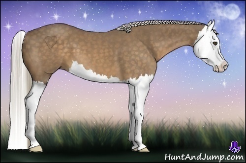 Horse Color:Chocolate Palomino Splash 