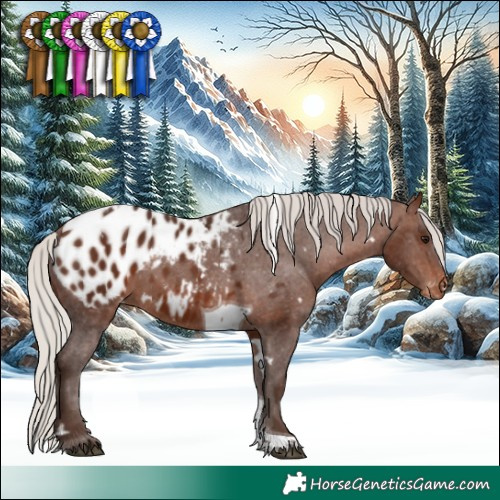 Horse Color:White Spotted Silver Brown Tobiano Blanket