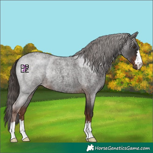 Horse Color:Liver Red Roan 