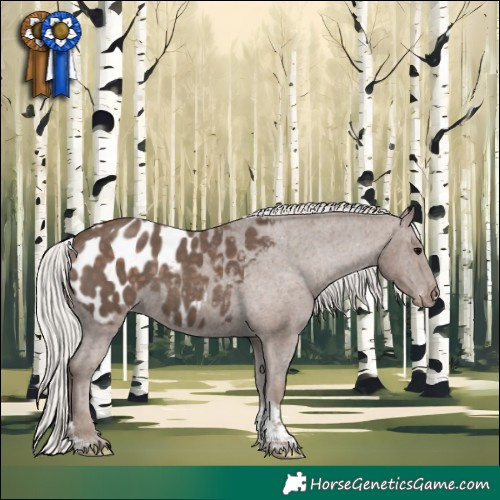 Horse Color:Silver Black Tobiano Blanket 