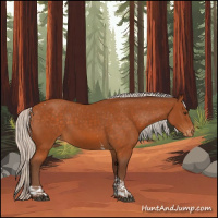 Horse Color:Silver Buckskin Tobiano Varnish 