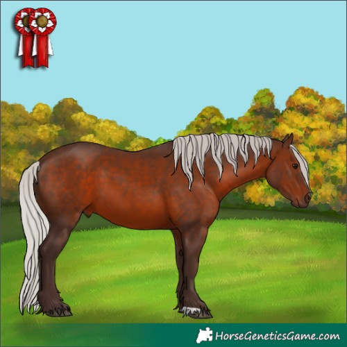 Horse Color:Silver Brown 