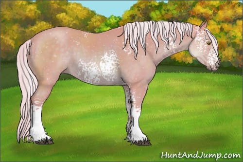 Horse Color:Watercolor White Spotted Palomino