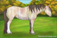 Horse Color:Nacre White Spotted Sable Cream Champagne Ice 