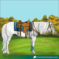 Horse Color:White Spotted Silver Perlino Dun Appaloosa Rabicano 