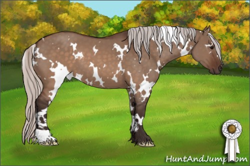 Horse Color:White Spotted Silver Brown Dun 