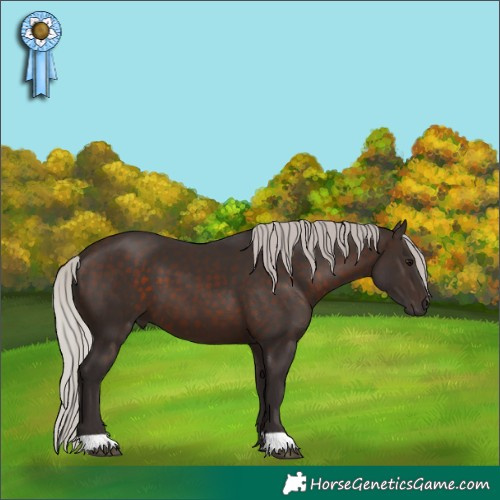 Horse Color:Silver Brown 