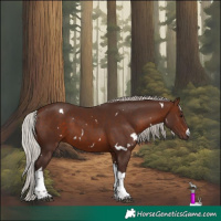 Horse Color:White Spotted Silver Brown Tobiano 