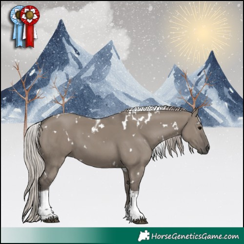 Horse Color:White Spotted Silver Grullo Tobiano