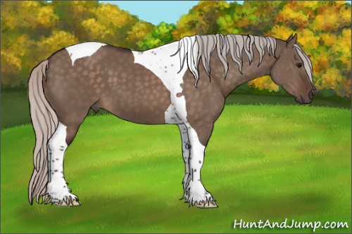 Horse Color:Silver Brown Dun Tobiano 