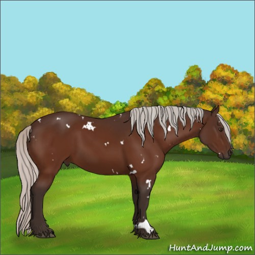 Horse Color:White Spotted Silver Brown 