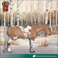 Horse Color:Silver Brown Dun Tobiano Rabicano 