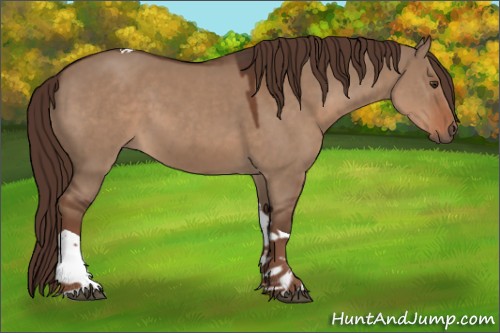 Horse Color:Liver Red Dun Tobiano 