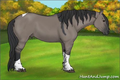 Horse Color:Grullo Tobiano 