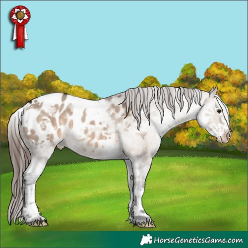 Horse Color:White Spotted Brown Dun Tobiano Blanket 