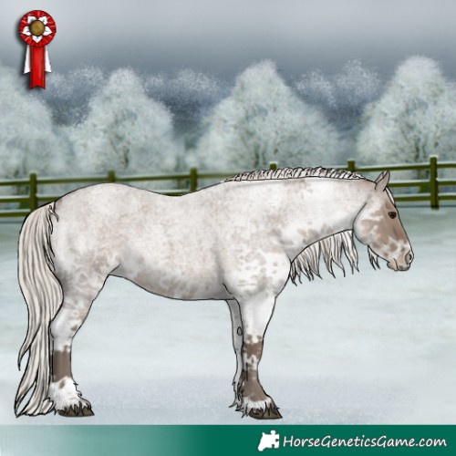 Horse Color:White Spotted Silver Grullo Roan 
