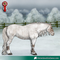 Horse Color:White Spotted Silver Grullo Roan 