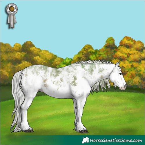 Horse Color:Watercolor White Spotted Silver Black Ice Sabino 