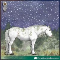 Horse Color:Watercolor White Spotted Silver Black Ice Sabino 