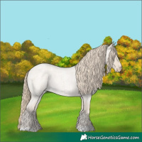 Horse Color:Smoky Creme Roan 