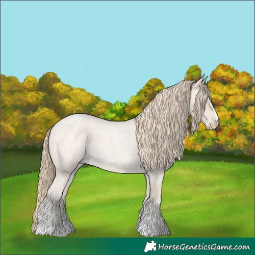 Horse Color:Smoky Creme Roan 