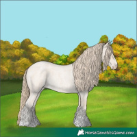 Horse Color:Smoky Creme Roan 