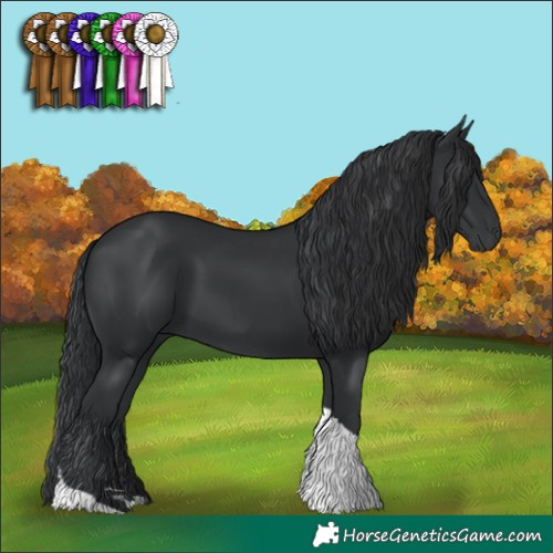 Horse Color:Black Tobiano Rabicano 