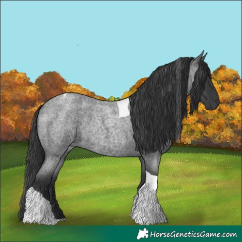 Horse Color:Blue Roan Tobiano Rabicano 