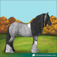 Horse Color:Blue Roan Tobiano Rabicano 