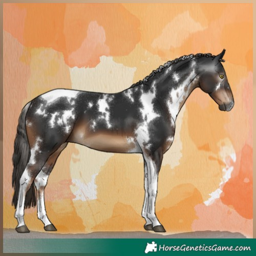 Horse Color:Gray White Spotted Liver Chestnut Tobiano