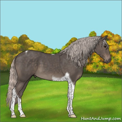 Horse Color:Silver Black Tobiano 