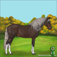 Horse Color:Silver Brown Tobiano 