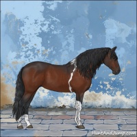 Horse Color:Brown Tobiano 
