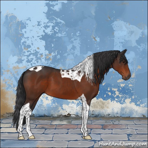 Horse Color:Brown Tobiano