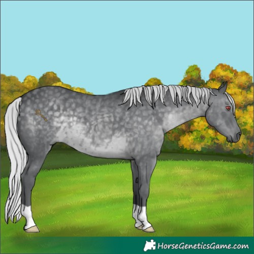 Horse Color:Silver Black Chinchilla