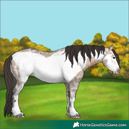Horse Color:Bay Ice Dun Frame Rabicano 