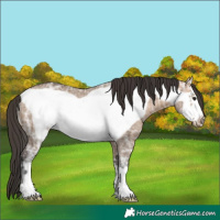 Horse Color:Bay Ice Dun Frame Rabicano 