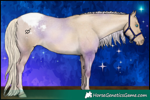 Horse Color:Chocolate Palomino Pearl Dun Varnish 