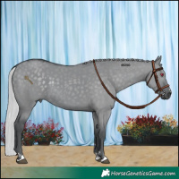 Horse Color:Silver Grullo Chinchilla 