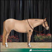 Horse Color:Chestnut Pearl Rabicano 