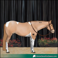Horse Color:Bay Pearl Tobiano 