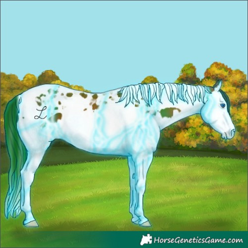 Horse Color:Thunderstruck Bay Splash Tobiano